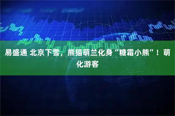 易盛通 北京下雪，熊猫萌兰化身“糖霜小熊”！萌化游客