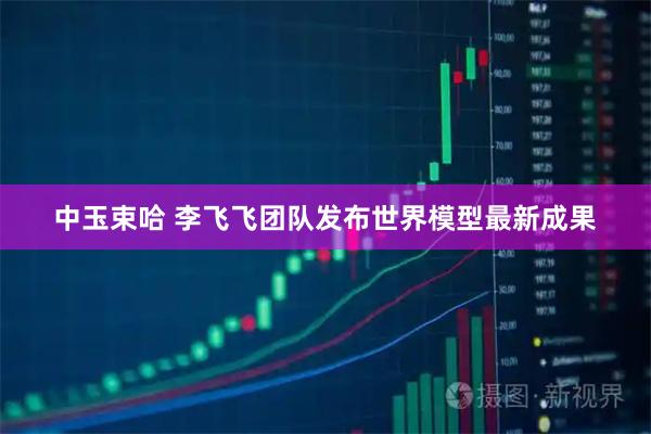 中玉束哈 李飞飞团队发布世界模型最新成果