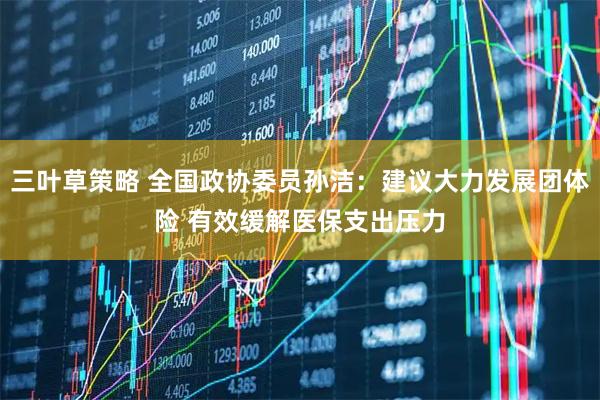 三叶草策略 全国政协委员孙洁：建议大力发展团体险 有效缓解医保支出压力