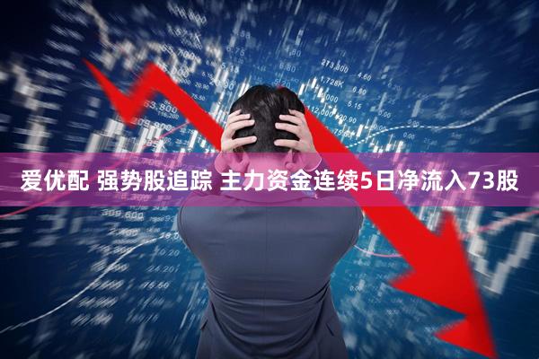 爱优配 强势股追踪 主力资金连续5日净流入73股