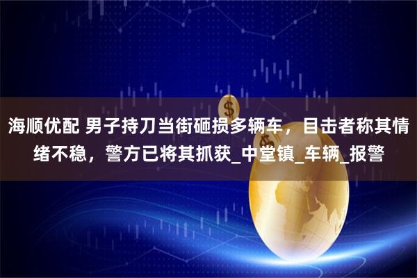 海顺优配 男子持刀当街砸损多辆车，目击者称其情绪不稳，警方已将其抓获_中堂镇_车辆_报警