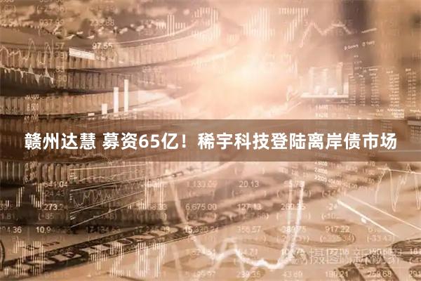赣州达慧 募资65亿！稀宇科技登陆离岸债市场